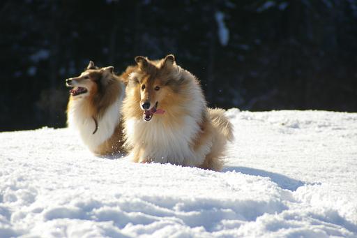 Fotos f. Homepage Galerie 052